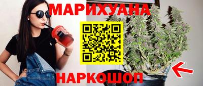 сатива Коммунар