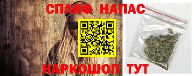 сатива Коммунар