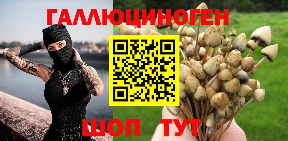 Псилоцибиновые грибы Magic Shrooms  Вход с VPN  Кохма  Псилоцибиновые грибы MAGIC MUSHROOMS 