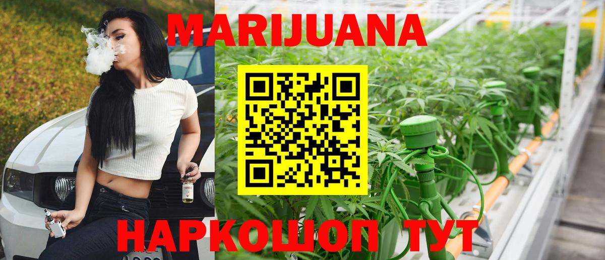 МАРИХУАНА планчик  Конопля сатива  Вход с VPN  Кохма  Канабис Bruce Banner 